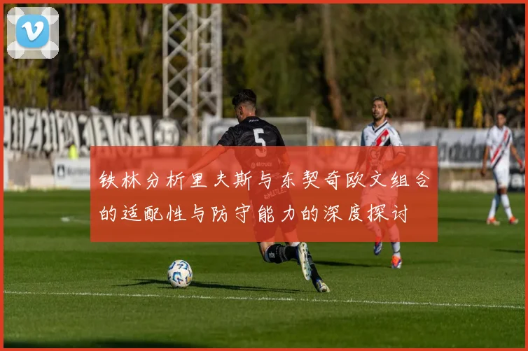 铁林分析里夫斯与东契奇欧文组合的适配性与防守能力的深度探讨