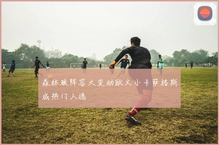 森林狼阵容大变动欧文小卡萨格斯成热门人选